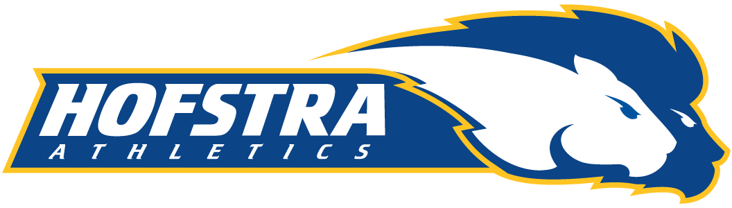 Hofstra Pride 2005-Pres Alternate Logo v3 DIY iron on transfer (heat transfer)